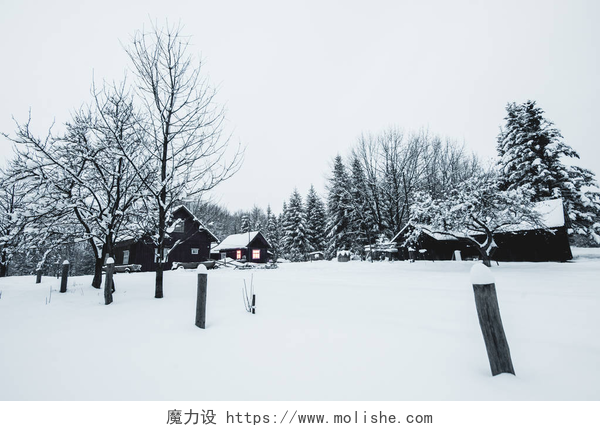 在寒冷的冬季白雪皑皑的地面老木结构的房子赢得雪村在喀尔巴泰